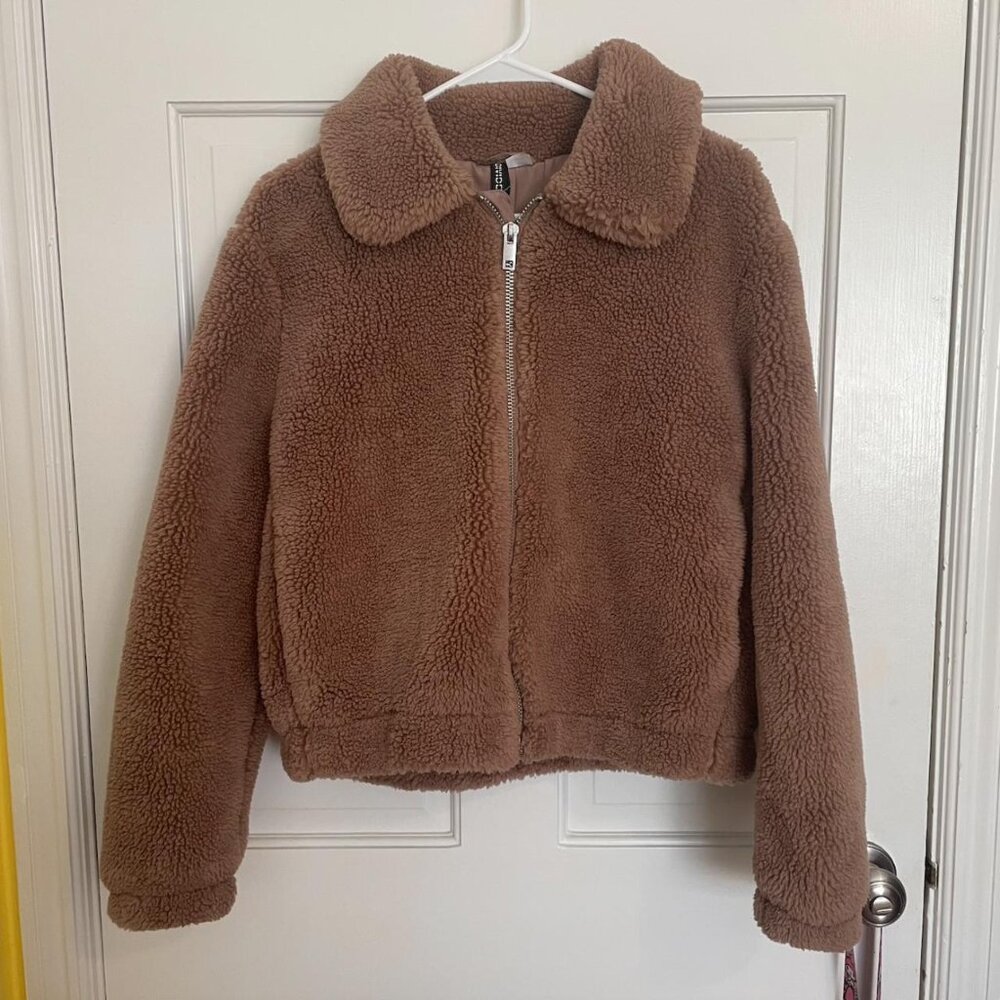 teddy bear coat